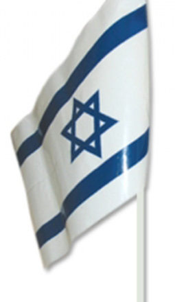 Israel kids Plastic Flag